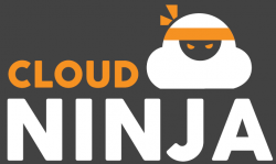 cloud-ninja